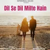 About Dil Se Dil Milte Hain Song